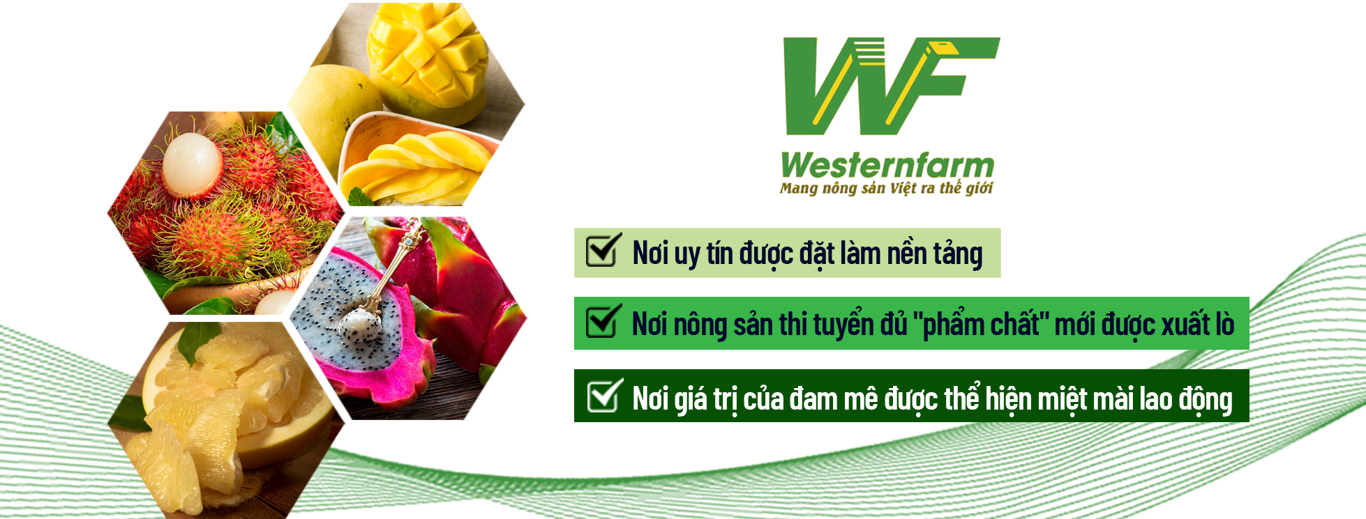 Nông sản miền Tây