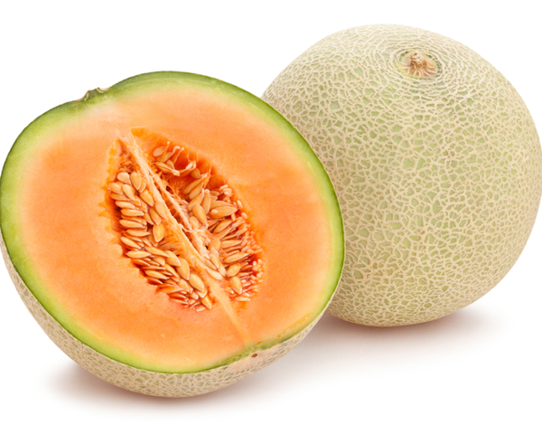 Dưa lưới