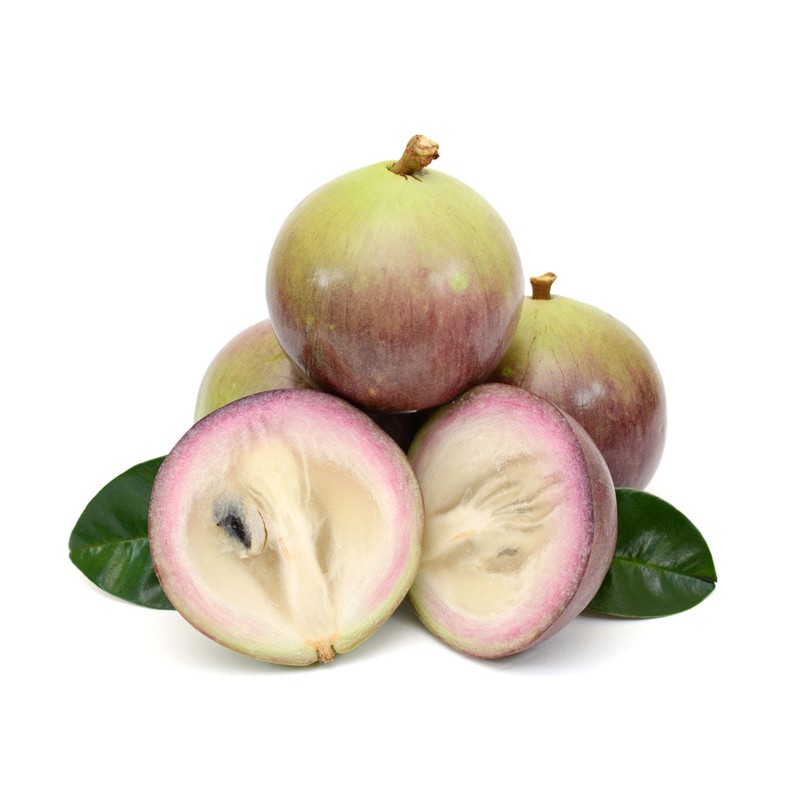 Vú sữa