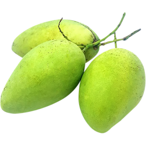 Xoài cát chu xanh